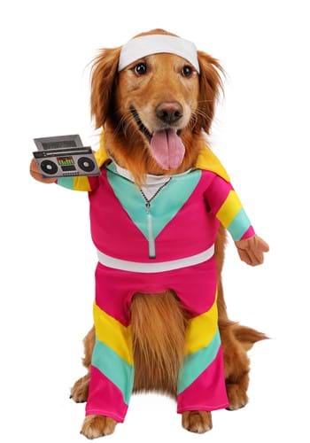 Track Suit 1980s Pet Costume