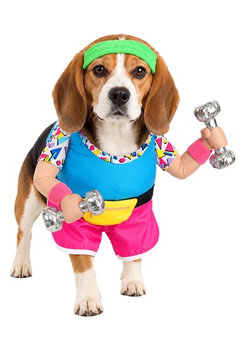 1980s Work Out Pet Costume | Halloween Pet Costumes