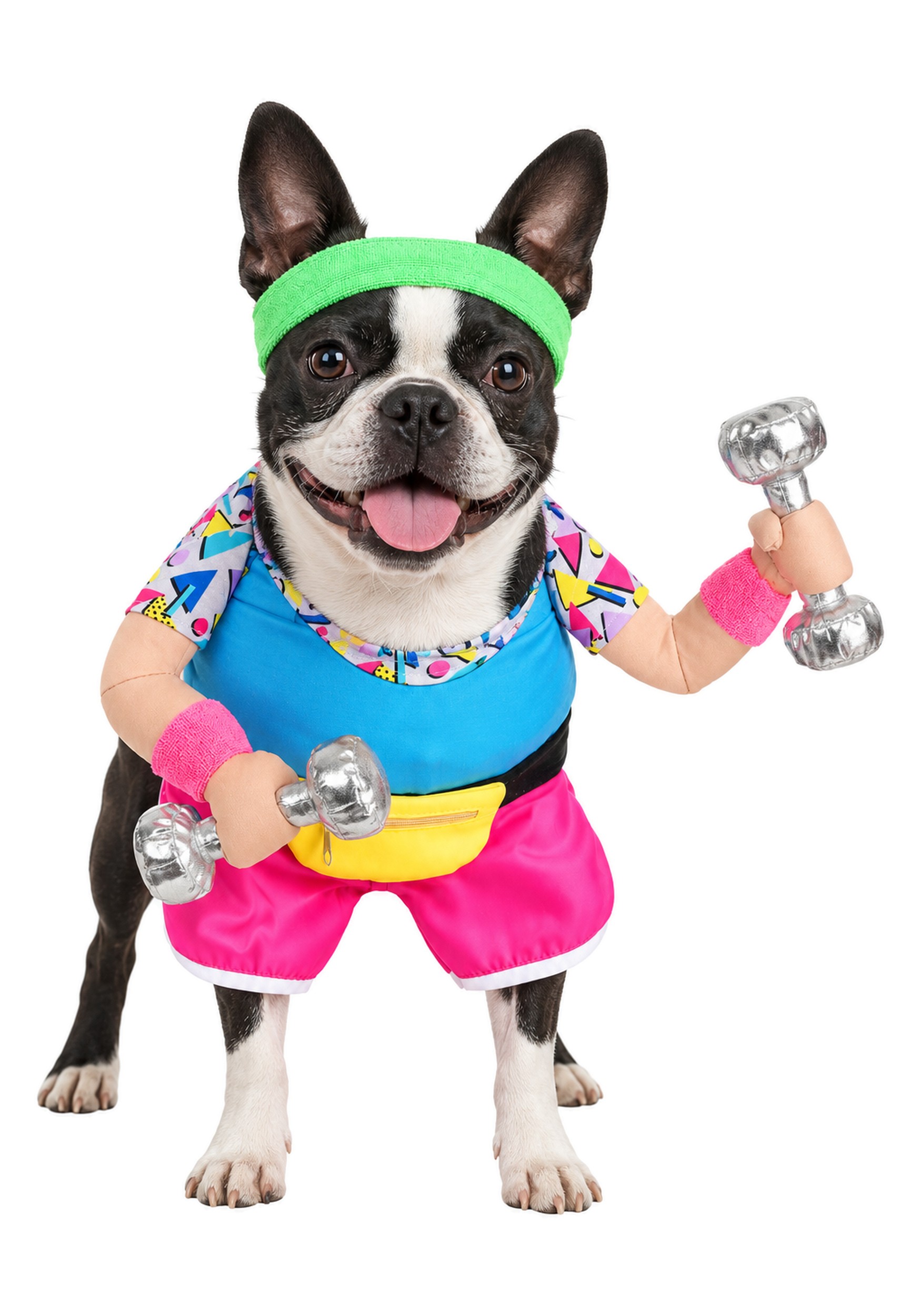 1980s Work Out Pet Costume | Halloween Pet Costumes