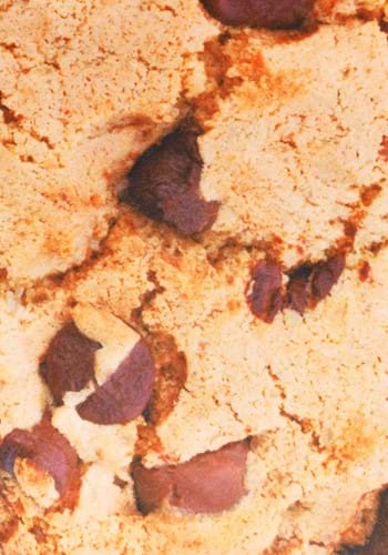 Chocolate Chip Cookie Kid's Costume | Cookie Costumes