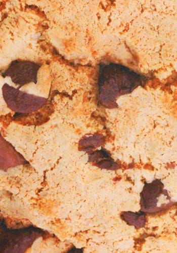 Chocolate Chip Cookie Adult Costume | Cookie Costumes