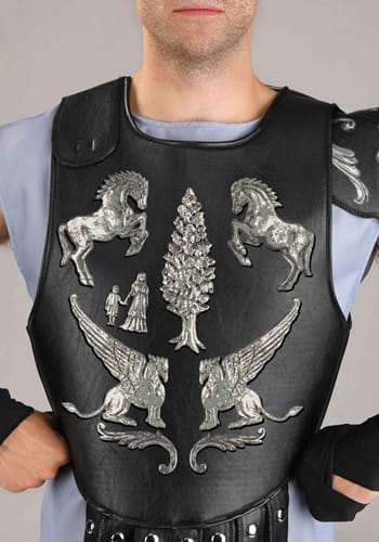 Gladiator Arena Maximus Men's Costume | Movie Costumes