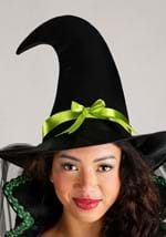 Adult Enchanted Green Witch Costume Alt 2
