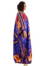 Plus Size Aladdin Magic Carpet Costume Alt 3