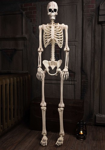 6.1FT Poseable Frankenstein Halloween Skeleton Decoration | Skeleton Decorations