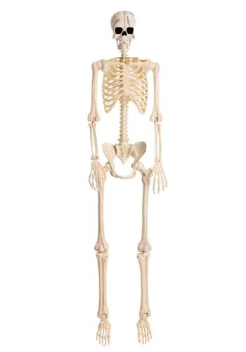 Poseable Frankenstein Skeleton Decoration