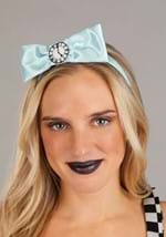 Adult Deluxe Punky Alice Costume Alt 4