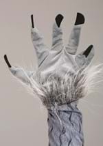 Plus Size Mens Woodsy Bad Wolf Costume Alt 5