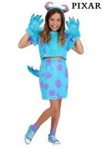 Girls Pixar Monsters Inc Sulley Costume