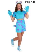 Womens Pixar Monsters Inc Sulley Costume