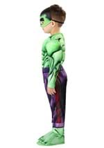 Marvel Classic Incredible Hulk Toddler Costume Alt 2