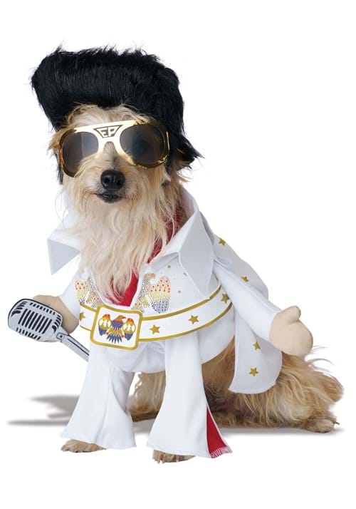 Elvis Viva Vegas Pet Costume