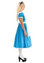 Adult Deluxe Disney Alice Costume Alt 9