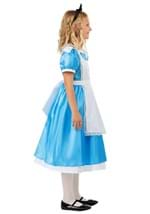 Kids Deluxe Disney Alice Costume Alt 3