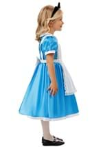 Toddler Deluxe Disney Alice Costume Alt 3