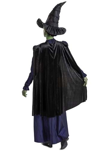 Adult Wicked Deluxe Elphaba Costume | Wicked Costumes