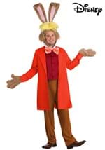 Adult Disney Alice in Wonderland March Hare Costume
