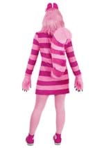 Adult Disney Cheshire Cat Costume Dress Alt 1