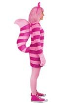 Adult Disney Cheshire Cat Costume Dress Alt 3