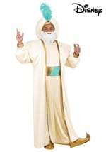 Plus Size Disney Aladdin Sultan Costume