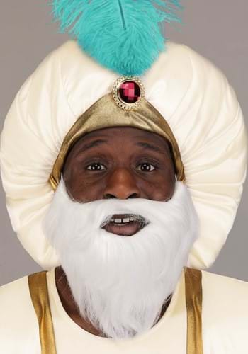 Men's Disney Aladdin Sultan Costume | Disney Costumes