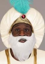 Adult Disney Aladdin Sultan Costume Alt 4