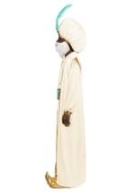 Adult Disney Aladdin Sultan Costume Alt 2