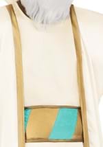 Adult Disney Aladdin Sultan Costume Alt 3