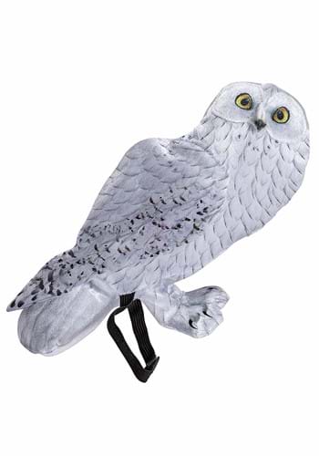 Harry Potter Costume Hedwig Accessory | Harry Potter Accessories
