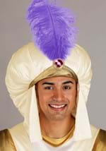 Adult Disney Aladdin Prince Ali Costume Alt 4