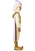 Adult Disney Aladdin Prince Ali Costume Alt 3