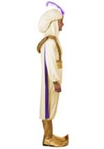 Adult Disney Aladdin Prince Ali Costume Alt 10