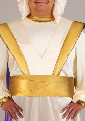 Plus Size Disney Aladdin Prince Ali Men's Costume | Disney Costumes