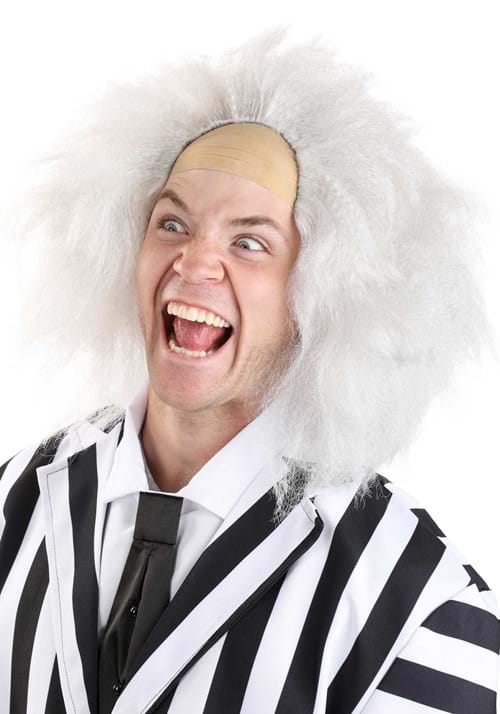 Mr Beetlejuice Wig Mens Adult Fancy Dress Halloween Crazy Costume