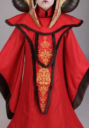 Deluxe Girl's Star Wars Queen Amidala Costume | Star Wars Costumes