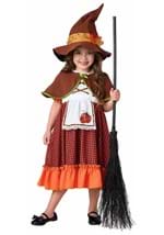 Girls Toddler Cottage Harvest Witch Costume
