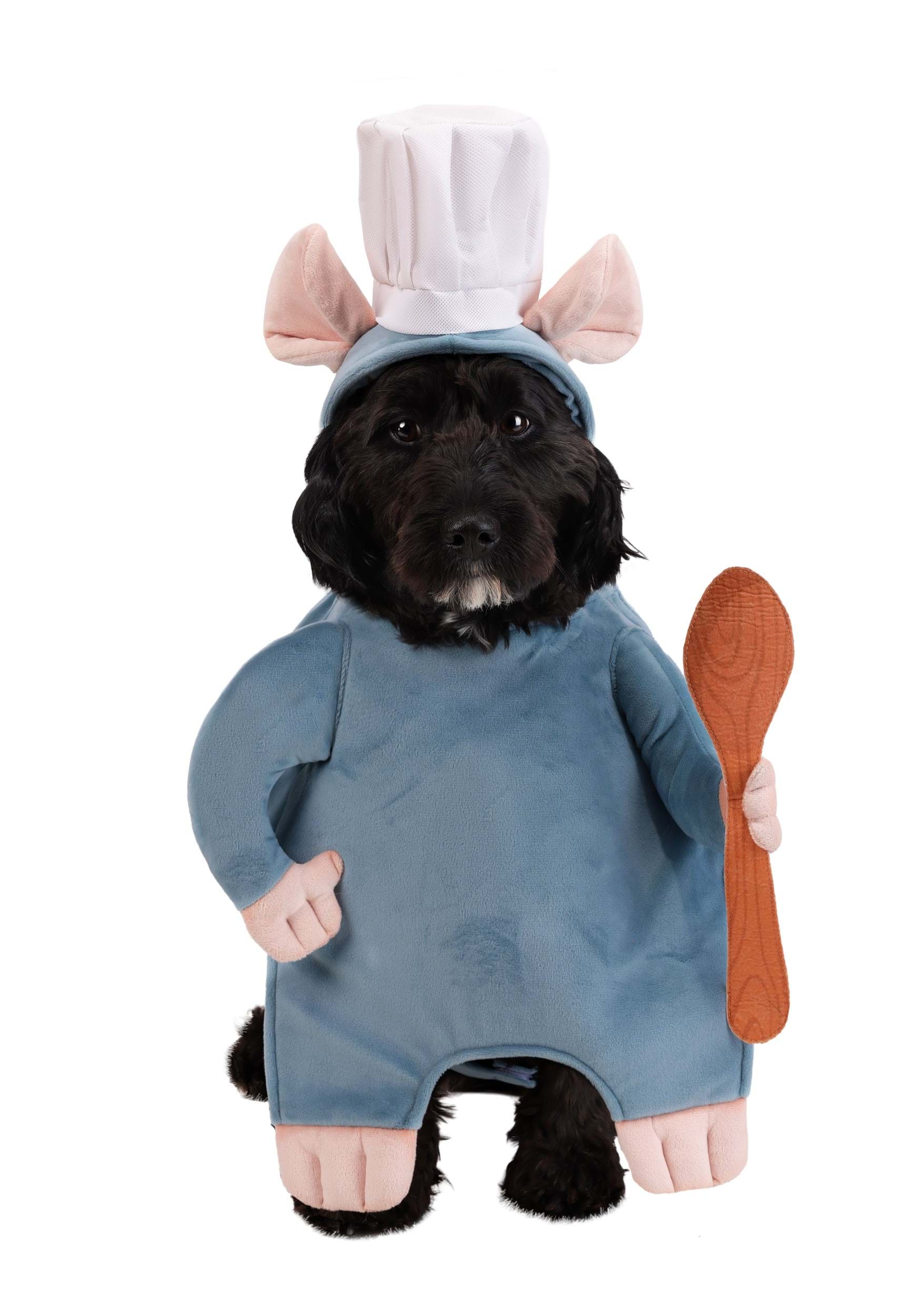 Disney Pixar Pet Remy Costume | Disney Pet Costumes