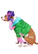 Disney Pixar Monsters Inc Celia Dog Costume Alt 2