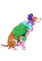 Disney Pixar Monsters Inc Celia Dog Costume Alt 3