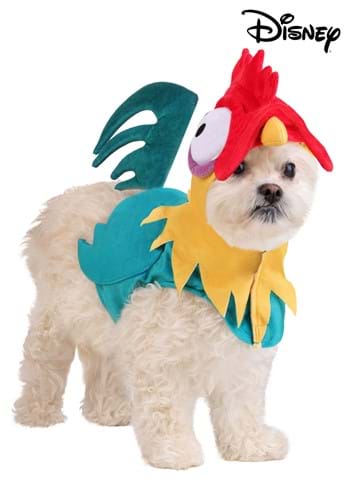 Disney Moana Hei Hei Dog Costume