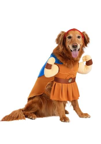 Disney Hercules Costume for Pets | Disney Pet Costumes