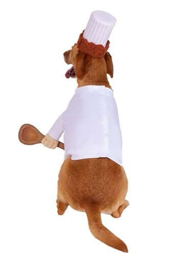Disney Pixar Ratatouille Alfredo Linguini Pet Costume | Disney Pet Costumes