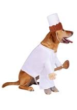 Disney Pixar Alfredo Linguini Ratatouille Pet Costume Alt 3