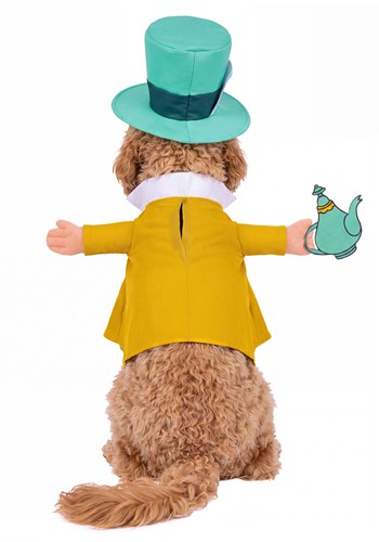 Classic Disney Pet Mad Hatter Costume | Disney Costumes