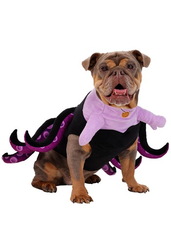 Disney The Little Mermaid Ursula Costume for Pets | Disney Pet Costumes