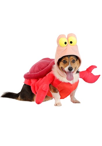 Disney Sebastian Costume for Pets | Disney Pet Costumes