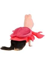 Disney Sebastian Dog Costume Alt 2
