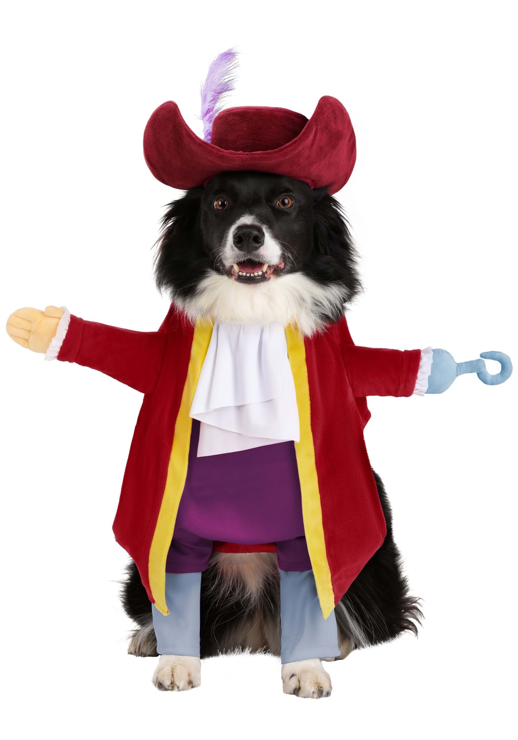 Disney Captain Hook Costume for Pets | Disney Pet Costumes