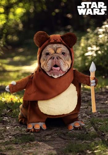 Star Wars Ewok Pet Costume Partner