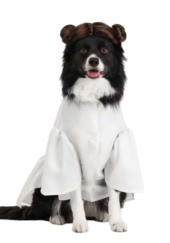 Star Wars Pet Princess Leia Costume | Star Wars Costumes